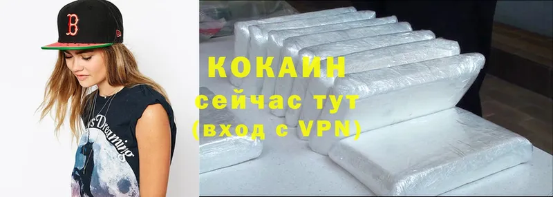 Cocaine FishScale  купить наркотики цена  Шадринск 